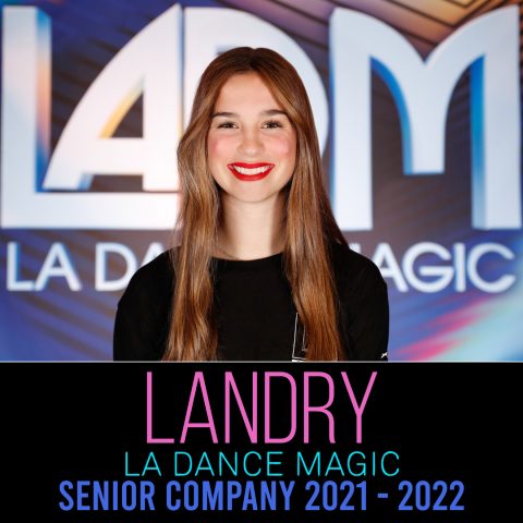 Landry Wisnoski