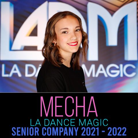 Mecha Holdaway